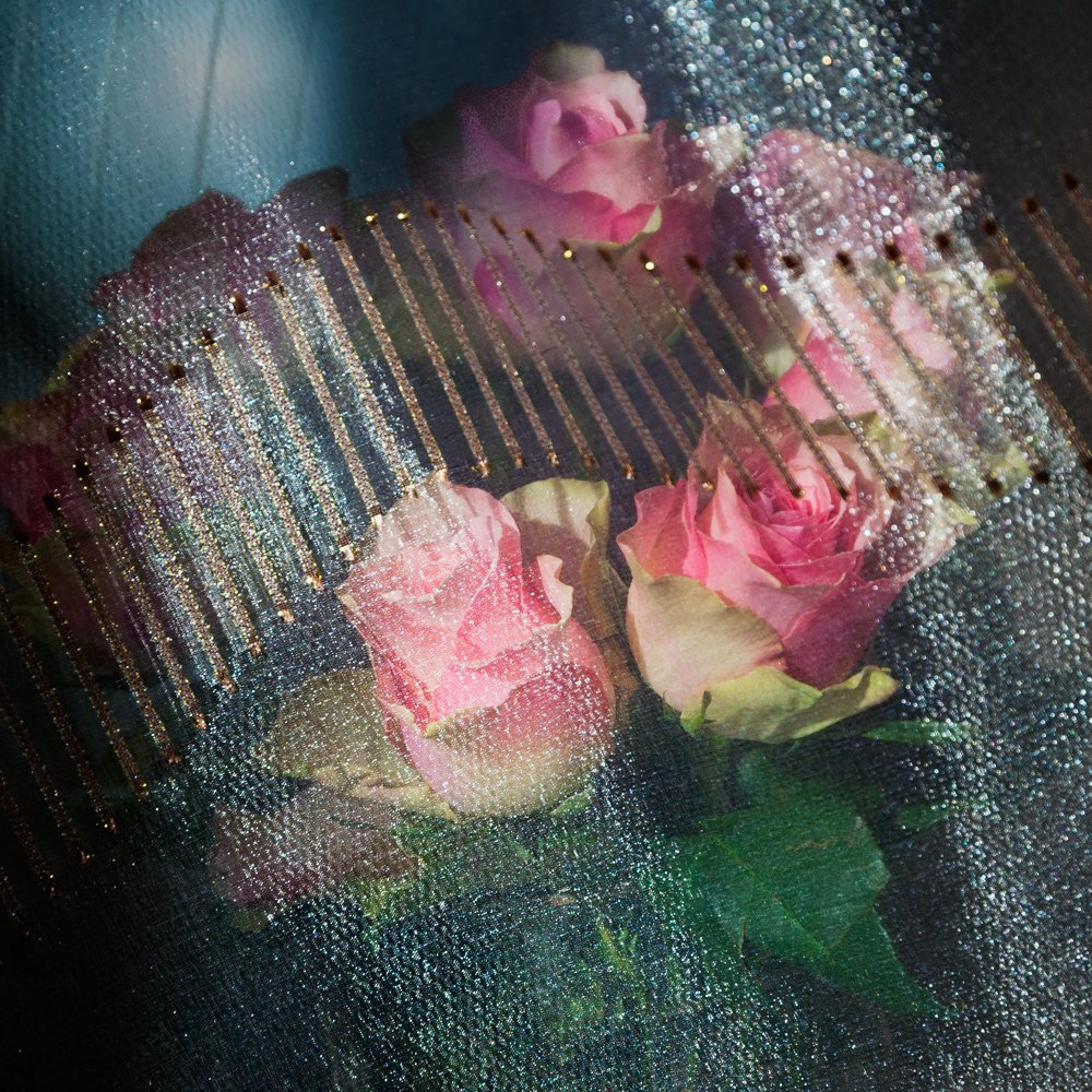 Photograph by Сергей