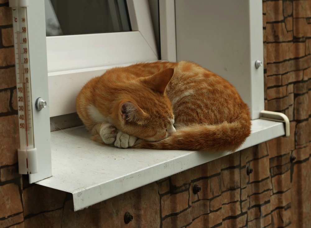 Photograph by Игорь Куленко