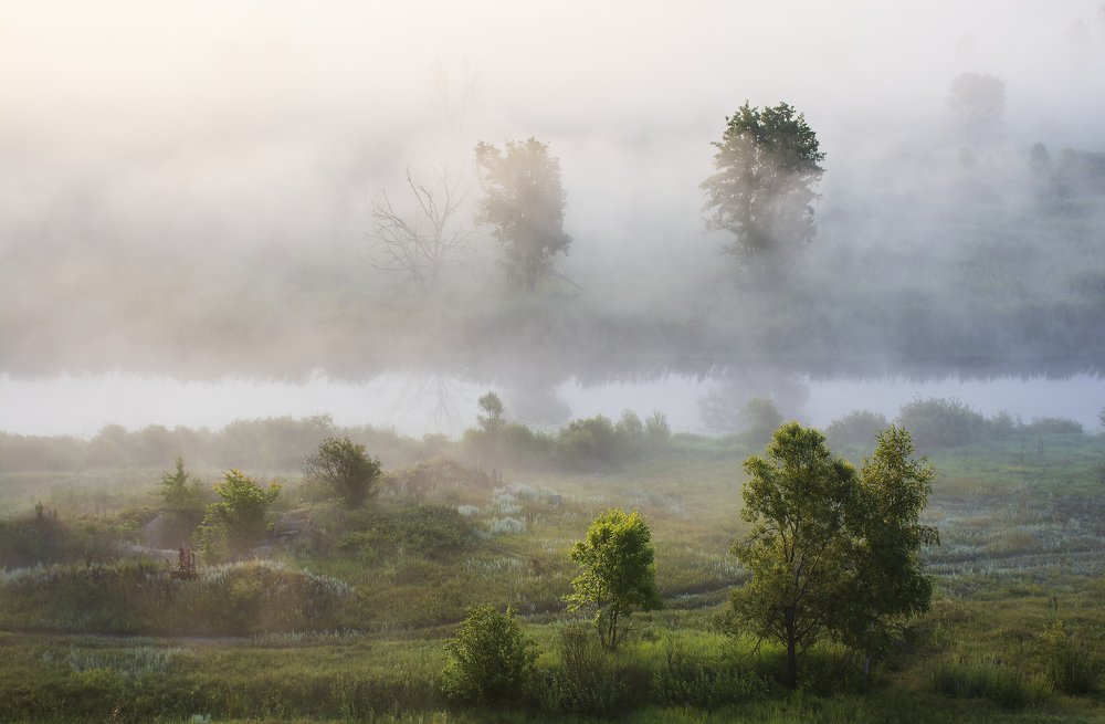 Photograph by Дмитрий Новоселов