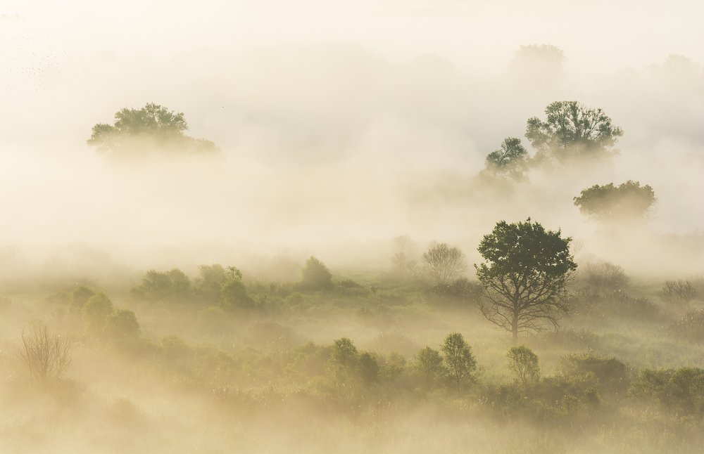 Photograph by Дмитрий Новоселов