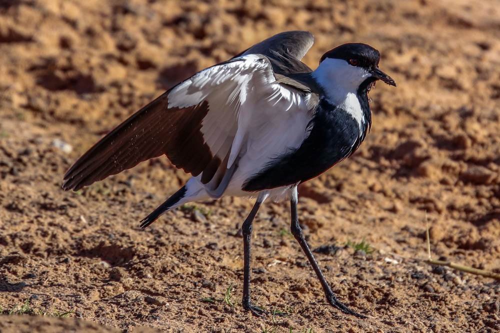 Photograph by Galina Rashap