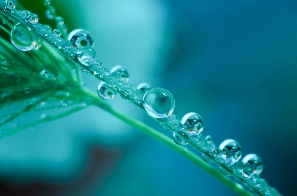 Photograph by Нина