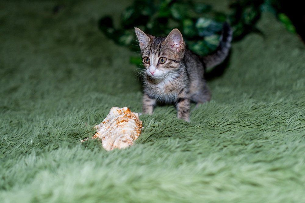 Photograph by Андрей Шевченко