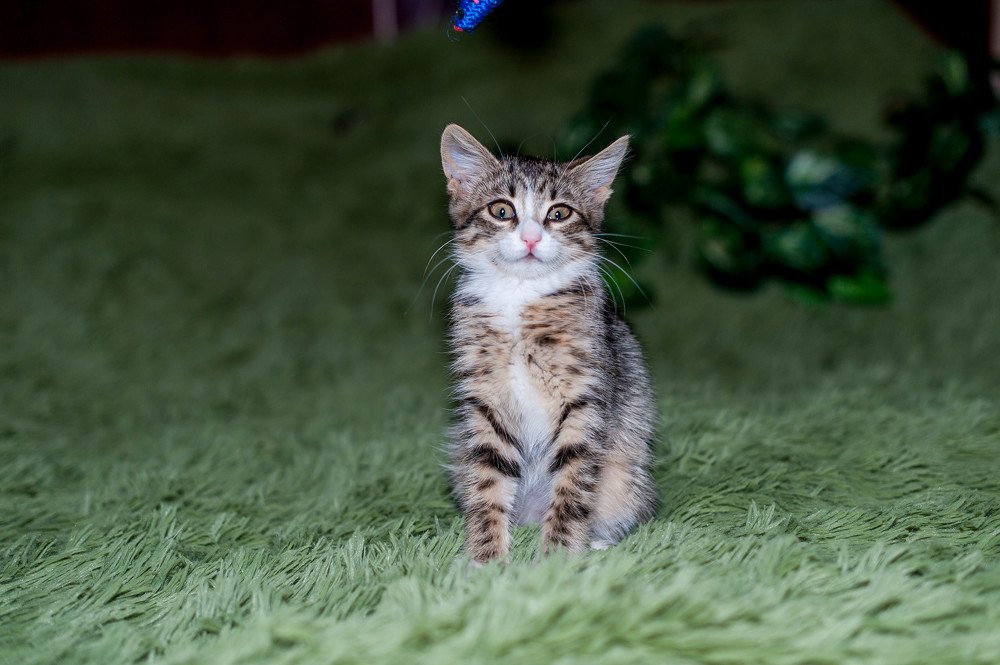 Photograph by Андрей Шевченко