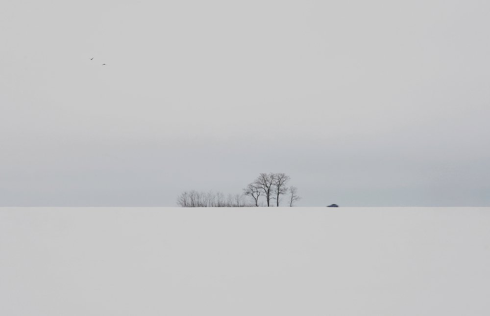 Photograph by Aeromast