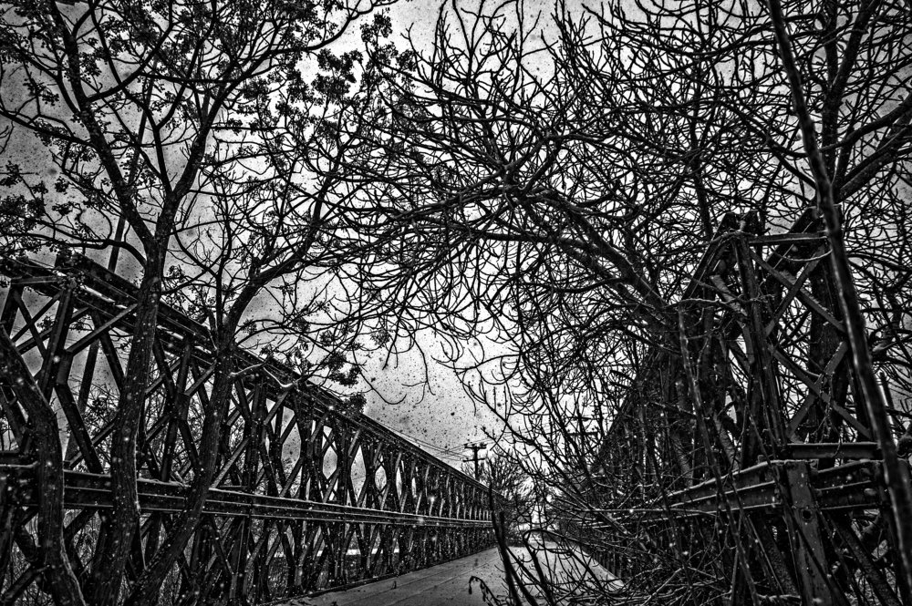 Фотография автора FOTINI KALTSIDOU