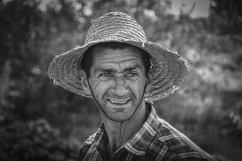 Photograph by Morteza Heidarian Mehr