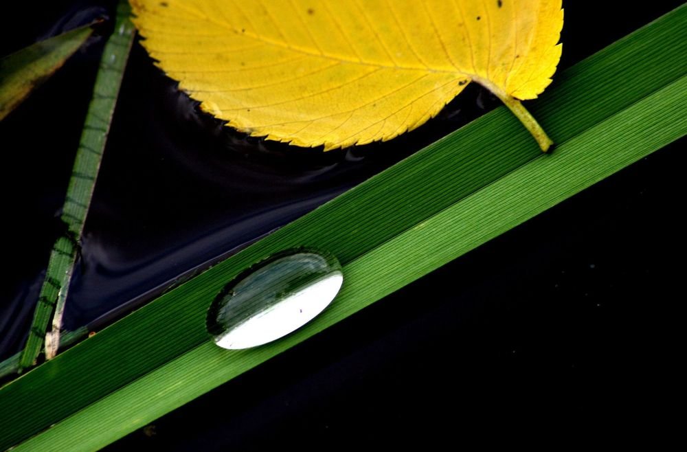 Photograph by Виктор Борисов