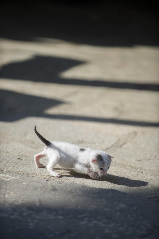 Фотография автора FOTINI KALTSIDOU