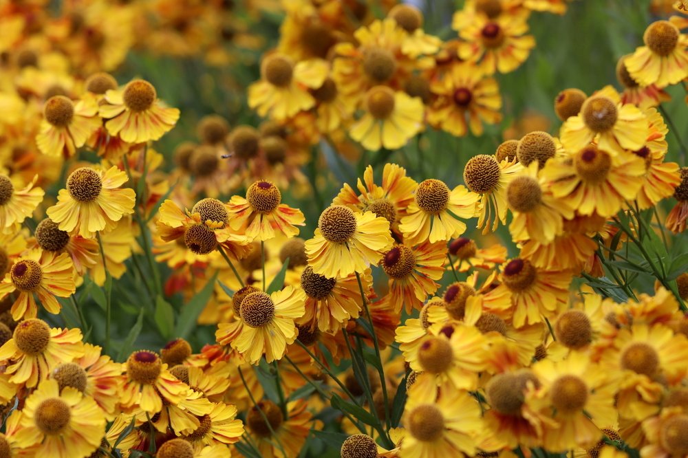 Photograph by Olga Oginskaya