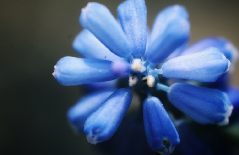 Фотография автора Найденова Алина