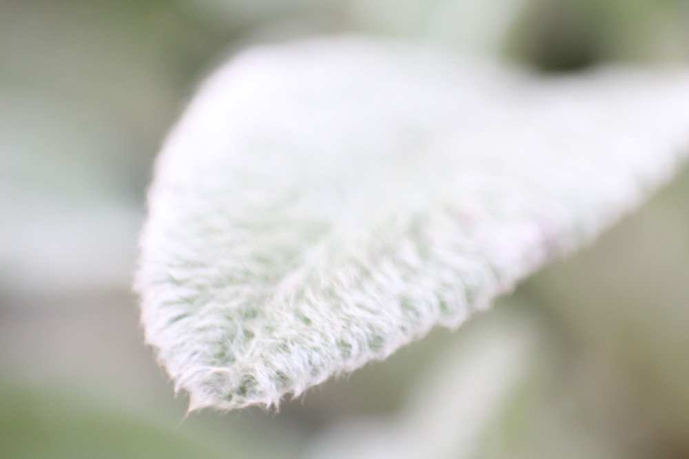 Фотография автора Найденова Алина