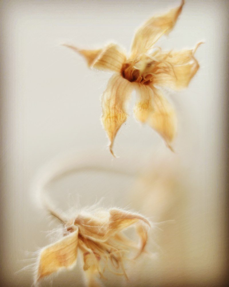 Photograph by Agnieszka