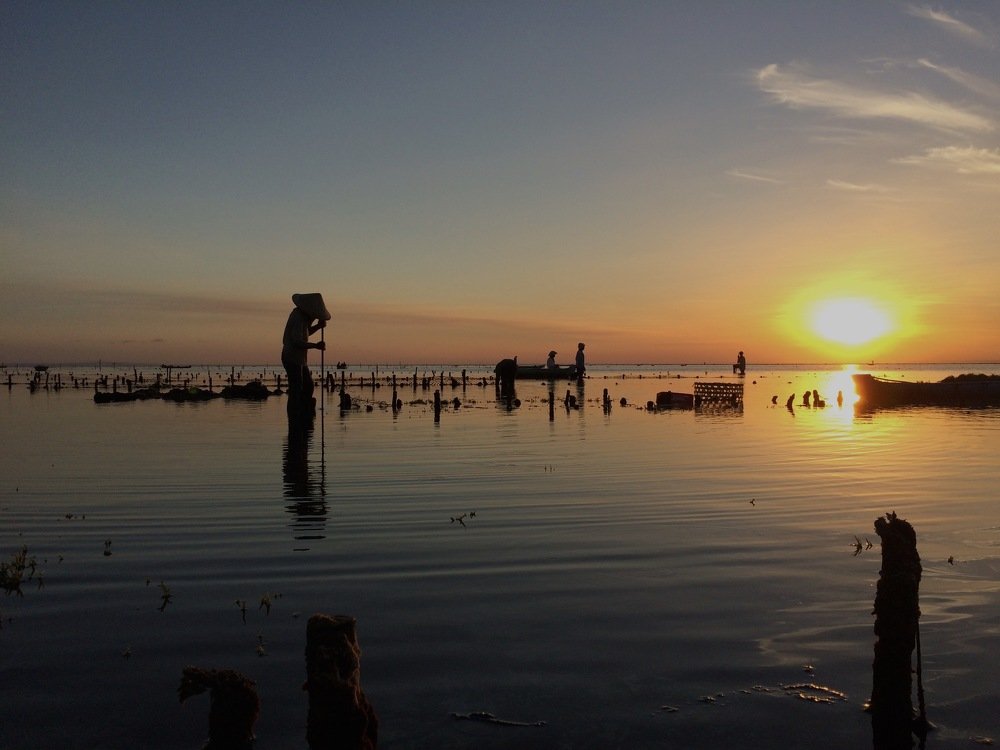 Photograph by Ronaldo Soares