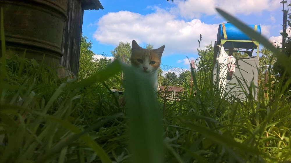 Photograph by Митя Стрельников