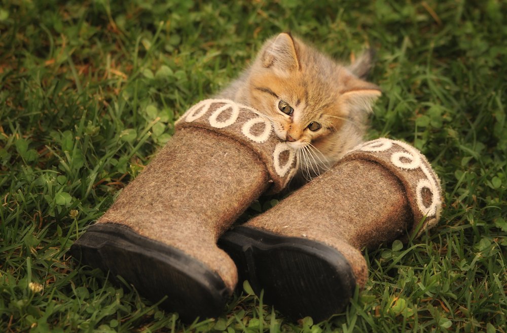 Photograph by Евгения Сафронова