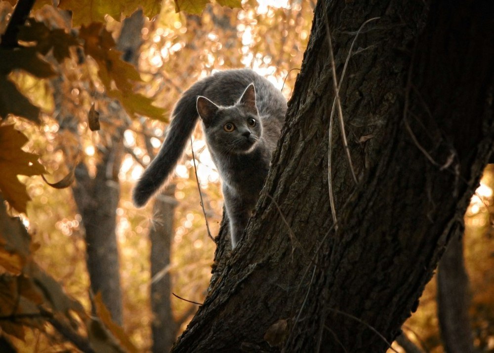 Photograph by Евгения Сафронова