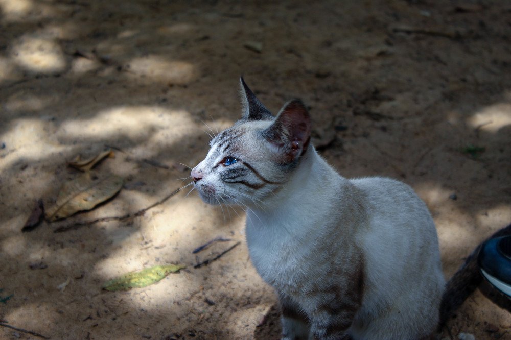 Photograph by Raylanderson Frota