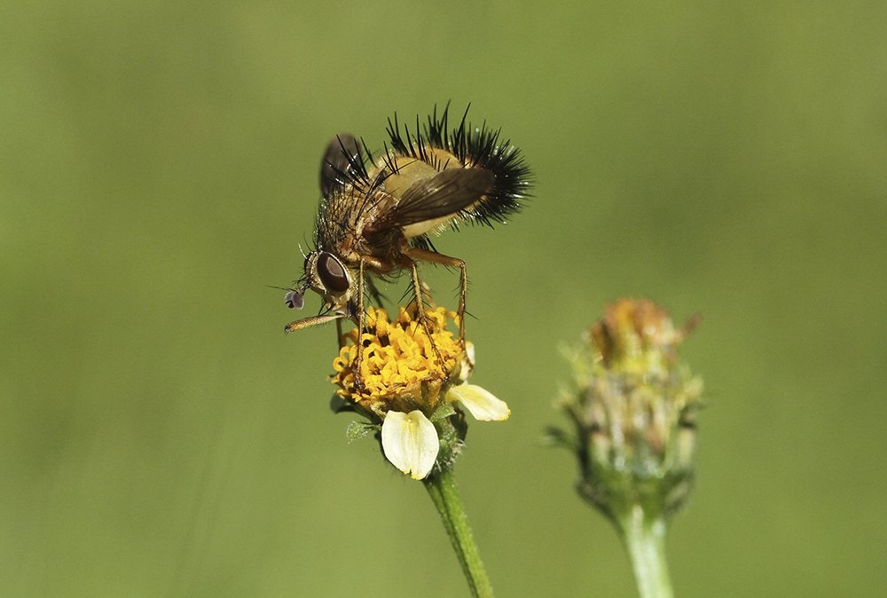 Фотография автора Marina