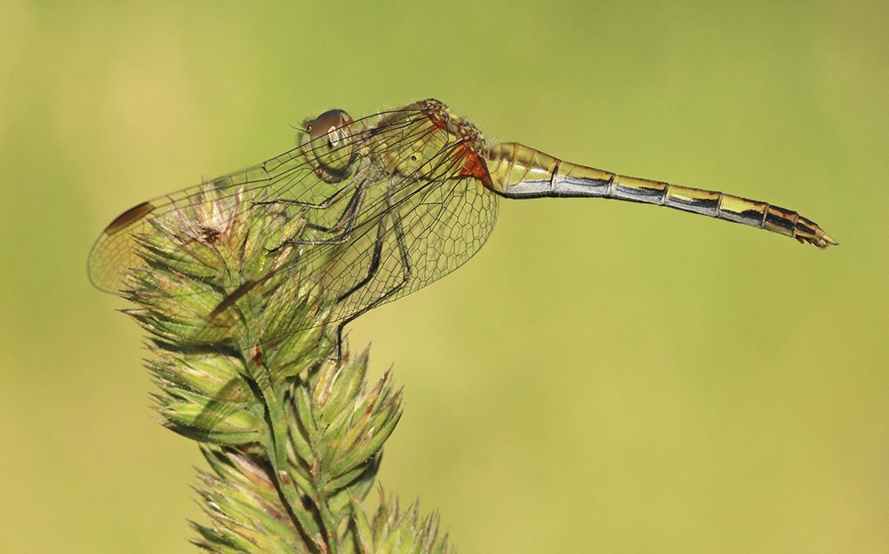 Photograph by Marina