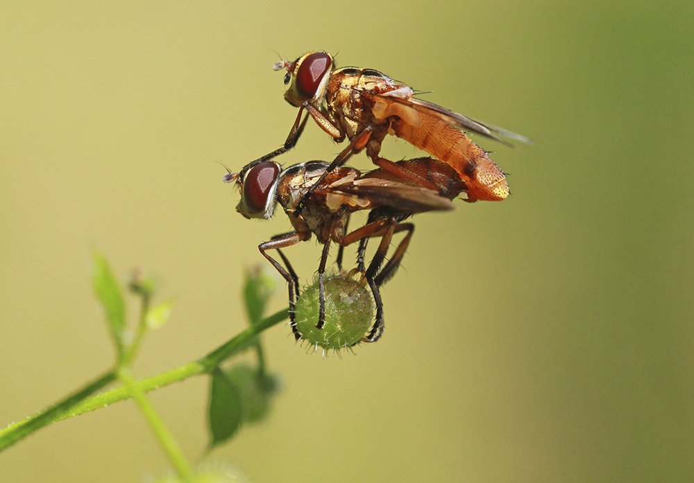 Фотография автора Marina
