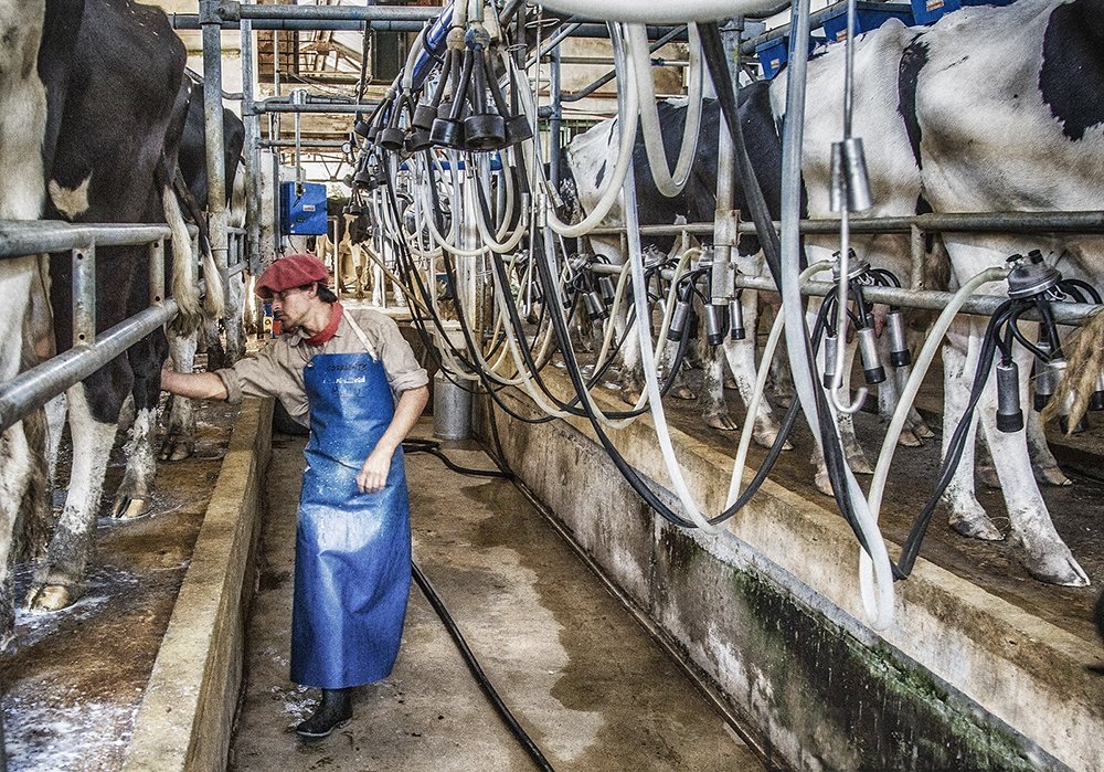 Фотография автора Marina