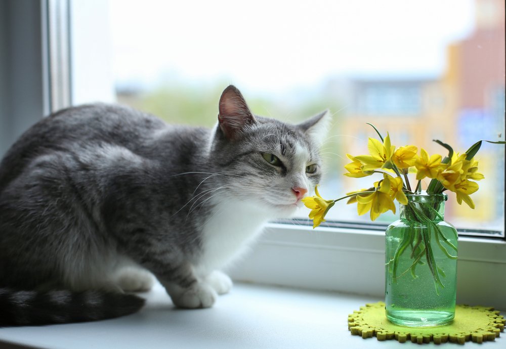 Фотография автора Шутенкова Евгения