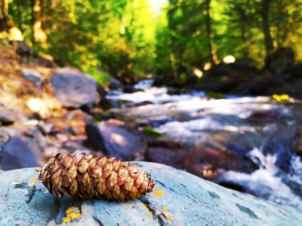 Photograph by Ефим