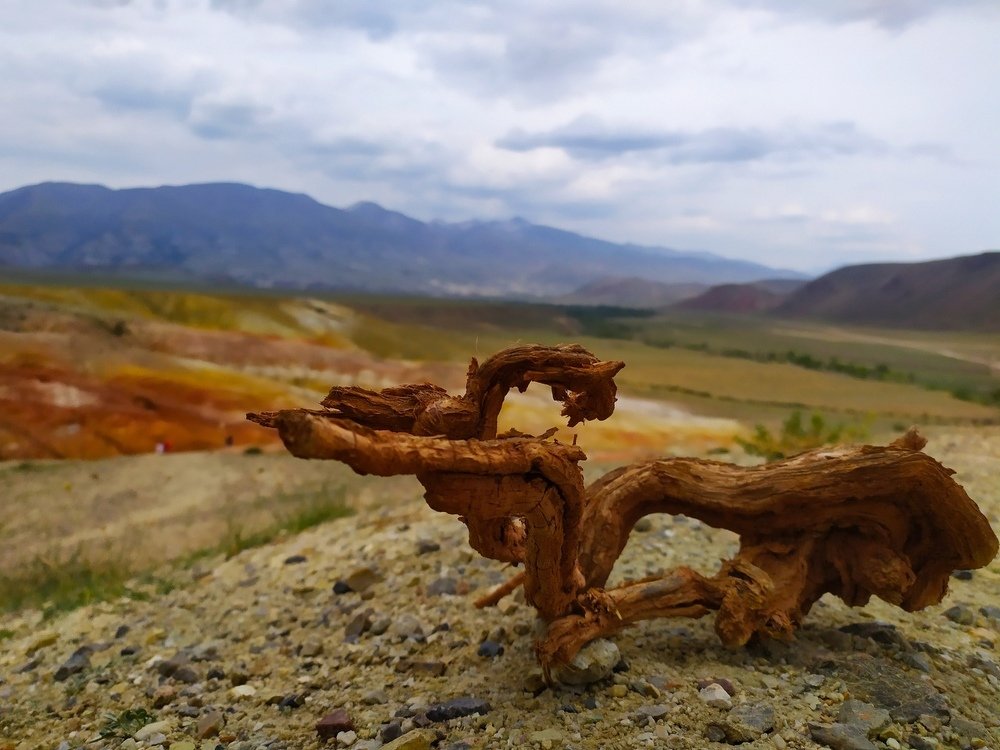 Photograph by Ефим