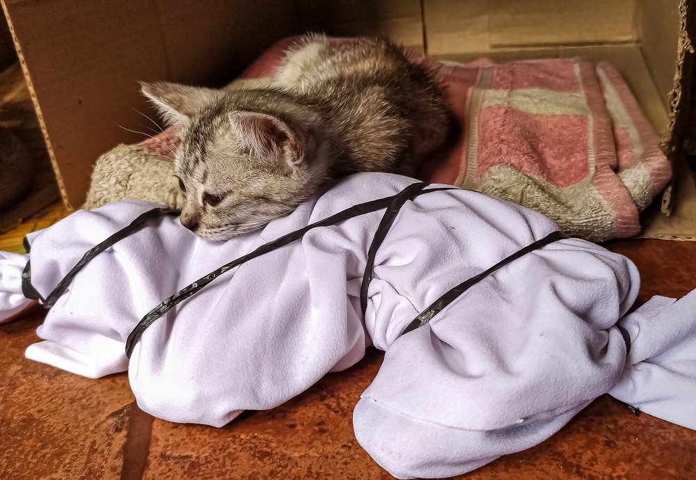 Photograph by Tavip Tavip Budiono Hadisoeprapto