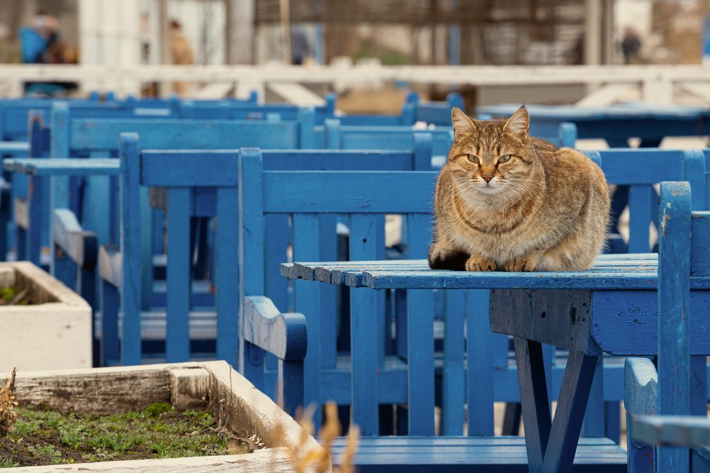 После сезона