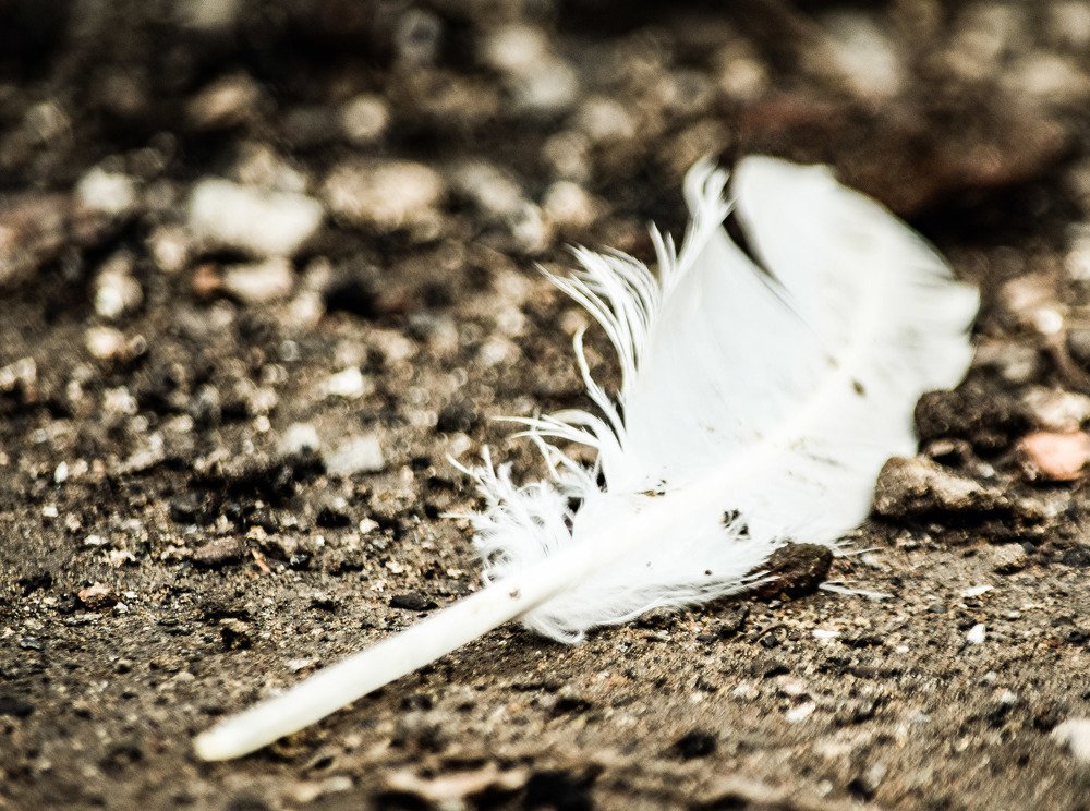 Photograph by setyadi Budi Siswoyo