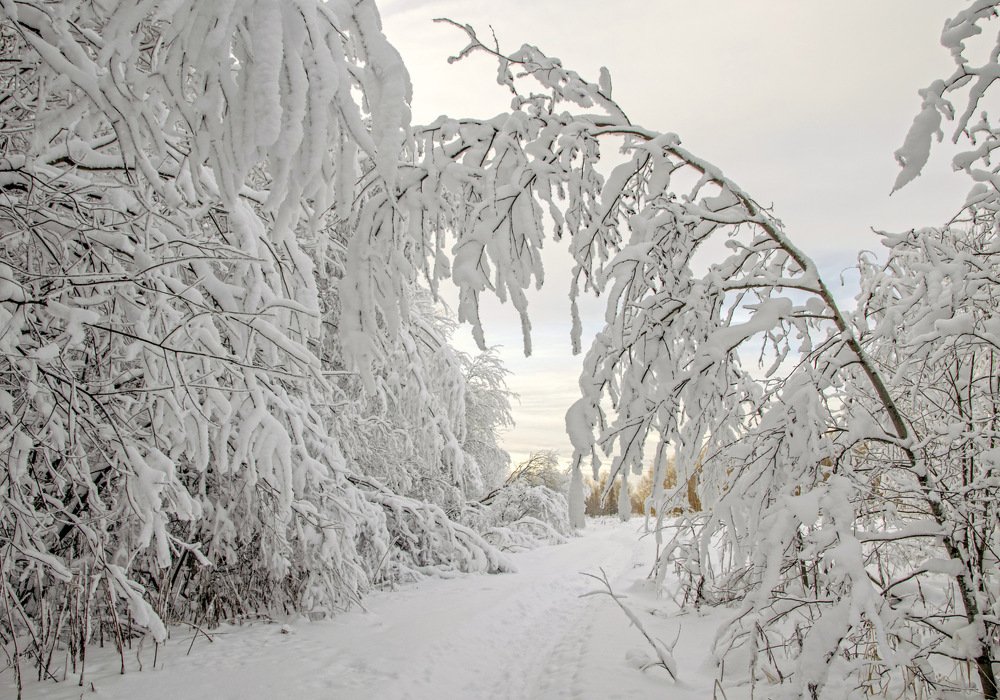 Photograph by Елена Чудиновских