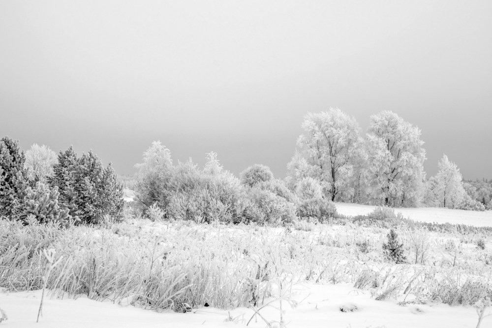 Photograph by Елена Чудиновских