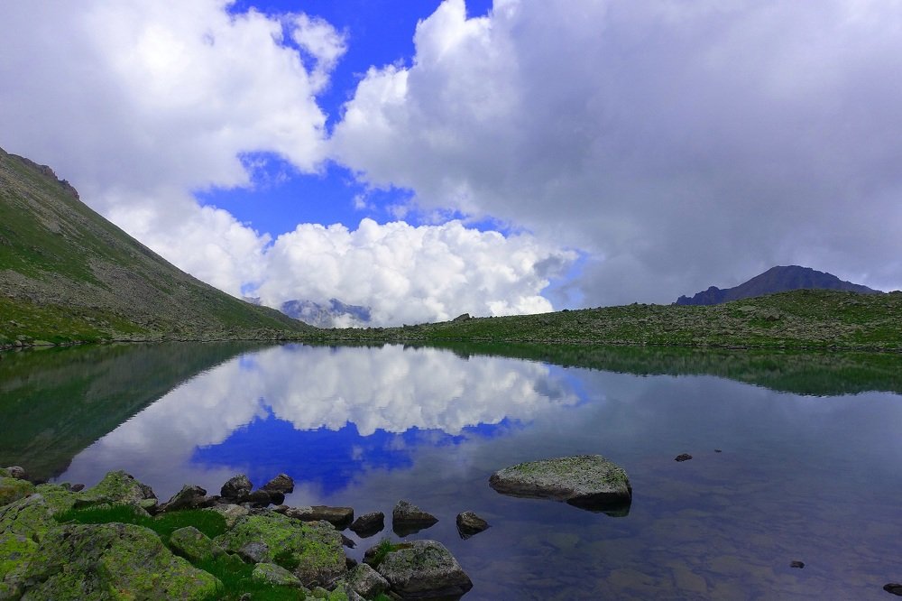 Отражение реальности