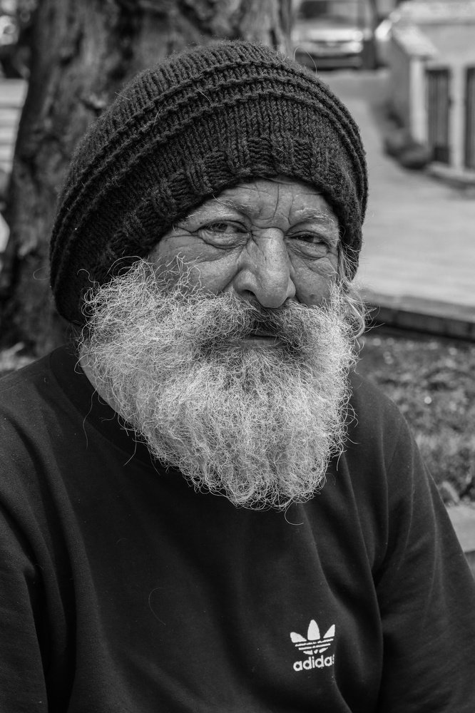 Photograph by Владимир Леликов