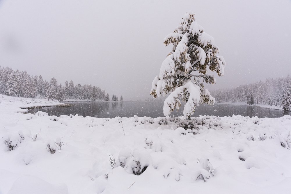 Одиночество.