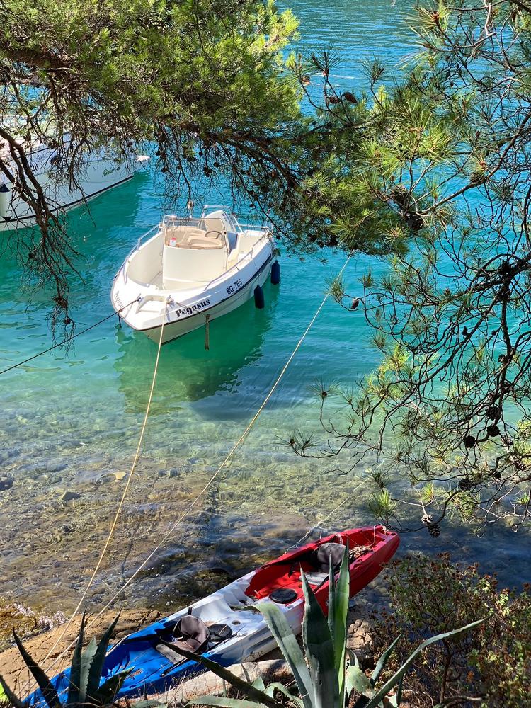 Photograph by Марина Неберекутина