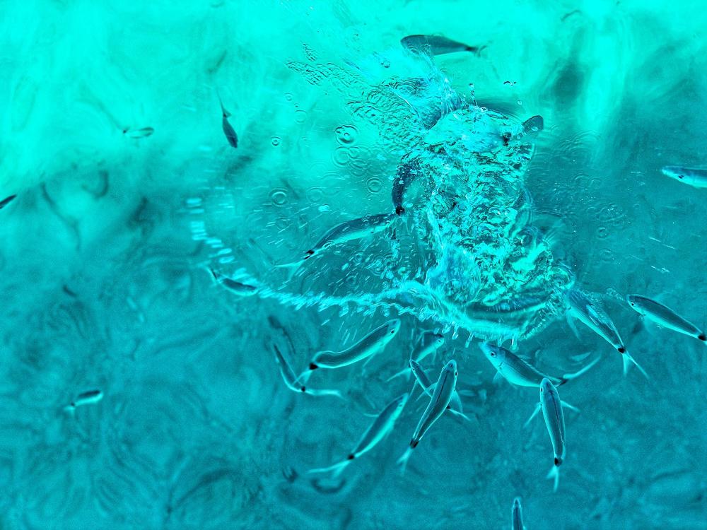 Photograph by Марина Неберекутина