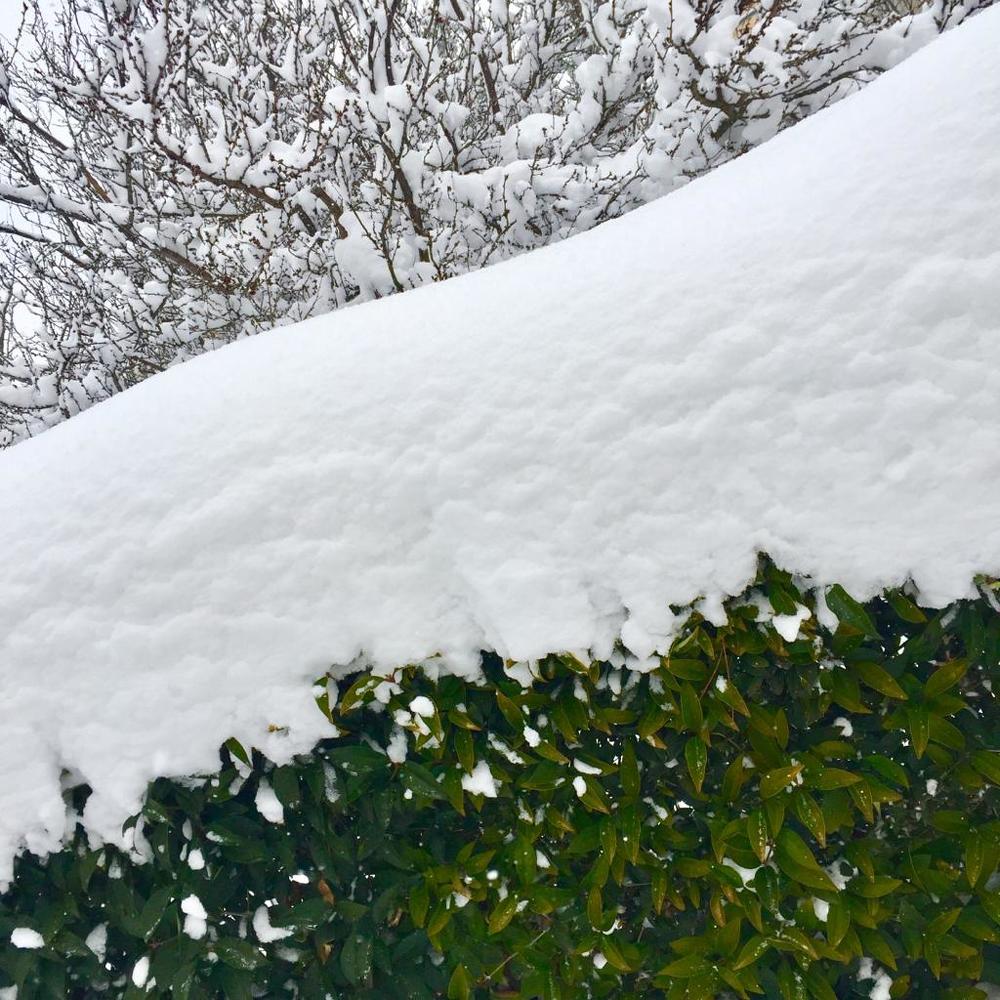 Photograph by Марина Неберекутина