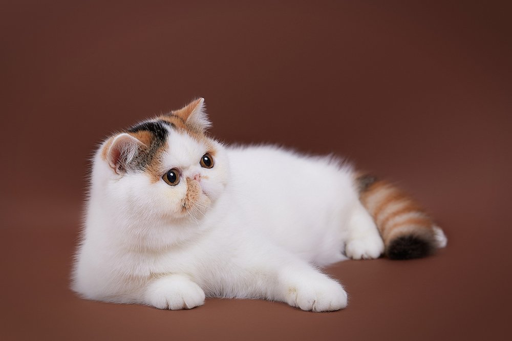 Photograph by Лана Полякова