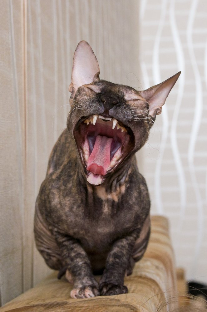 Photograph by Ясинский Юрий