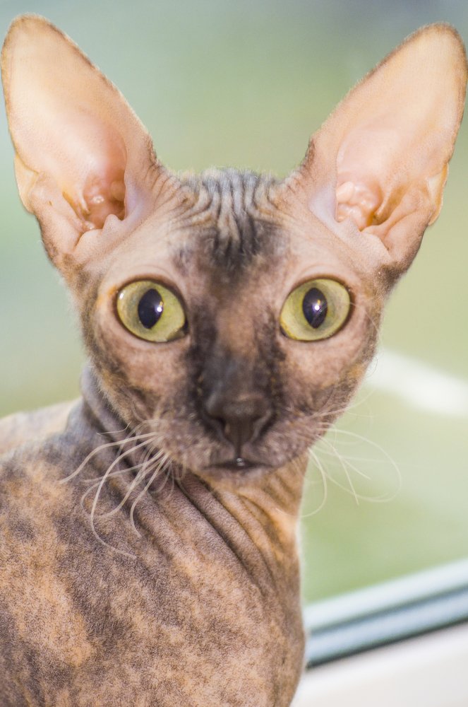 Photograph by Ясинский Юрий