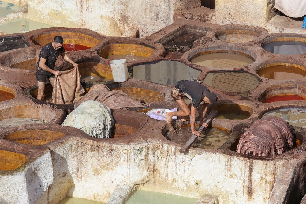 Photograph by Владимир Леликов