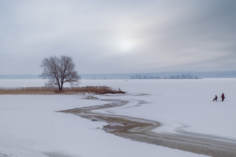Photograph by Ольга Максимова