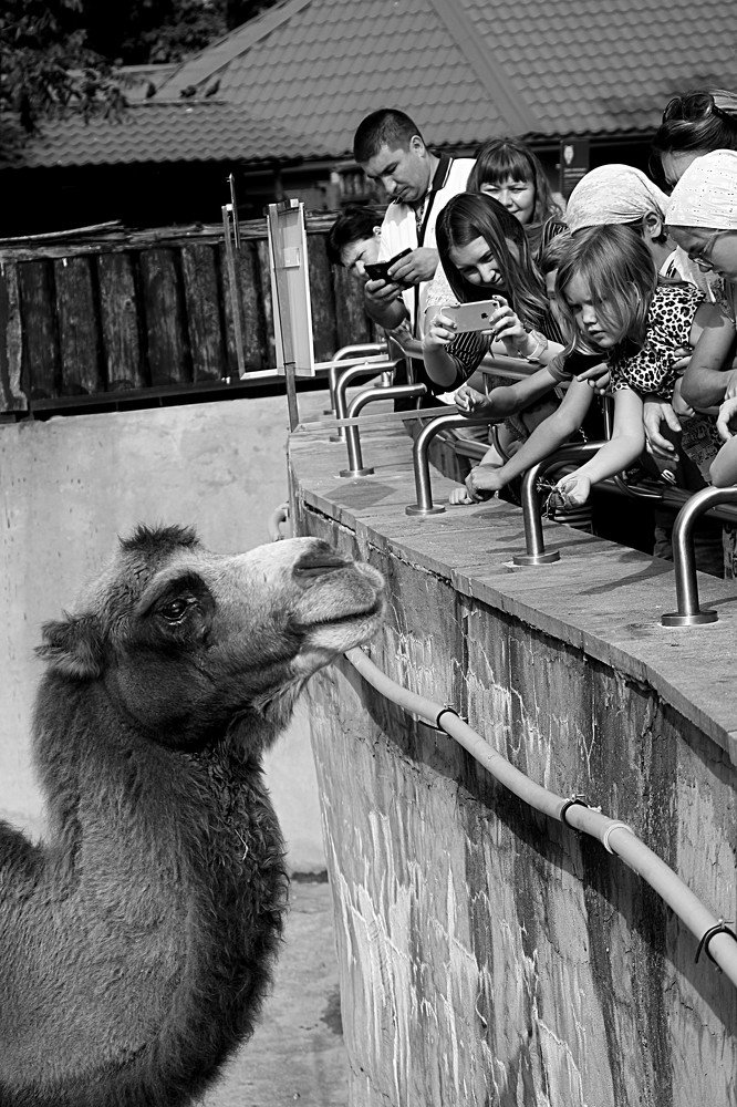 Разве это не успех?