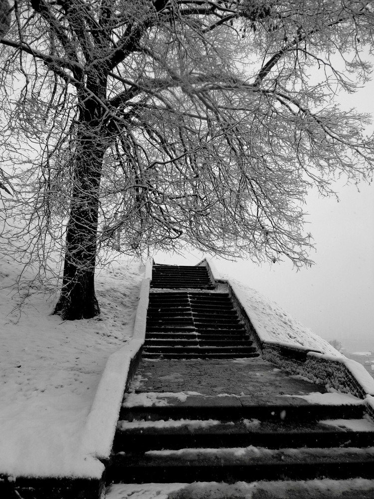 Photograph by Наталья Сазонова