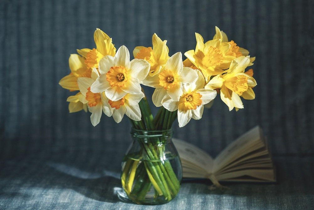 Photograph by Раиса Ляшок