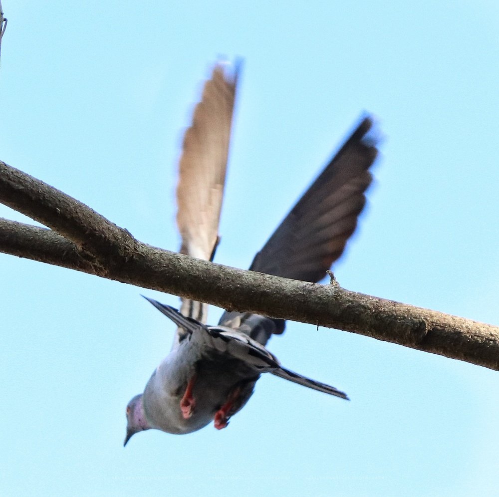 Photograph by Sahil Sanavulla