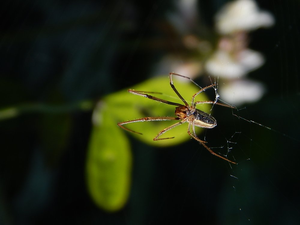 Фотография автора Юлия Кучеренко